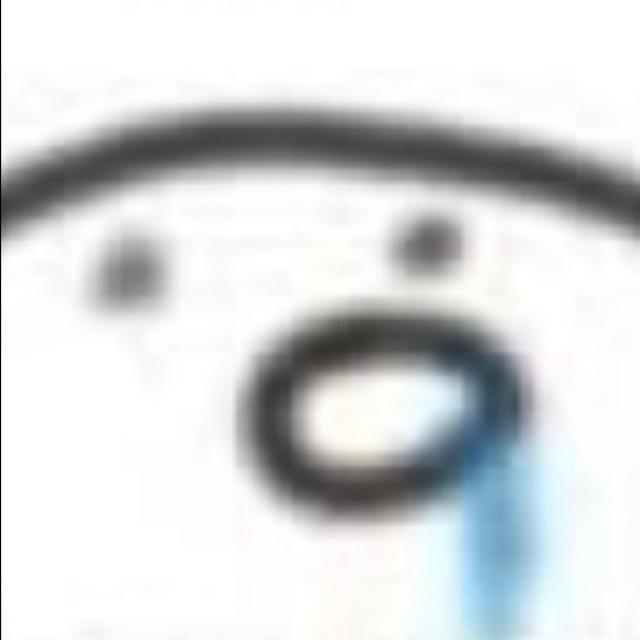 Profile Picture of Alice Wang (@alicewang0412) on Poshmark