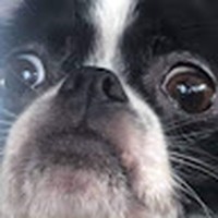 Profile Picture of Haley Meares (@haley-meares-1) on Quora