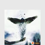 Profile Picture of Sam (@samcastrocastrosam87) on Instagram