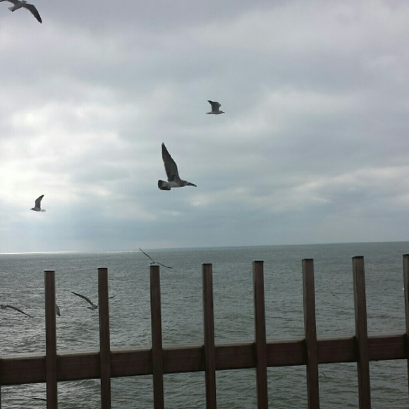 Profile Picture of Quantail Mccoy (@quan1985) on Poshmark