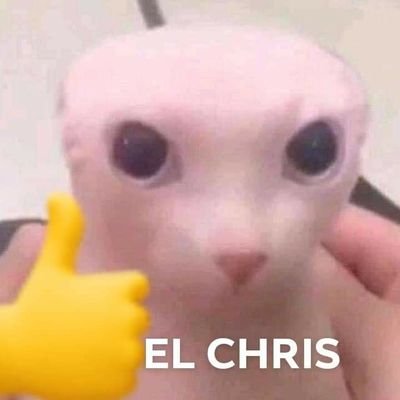 Profile Picture of Christopher Portillo (@ChrisP181920) on Twitter