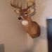 Profile Picture of Jerry Dougherty (@jerry.dougherty.39) on Facebook
