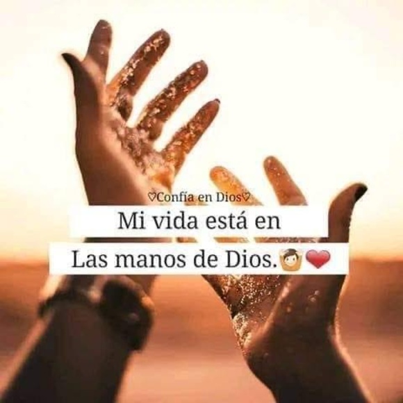 Profile Picture of Alexander Barillas (@abarillas916) on Poshmark