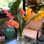 Profile Picture of Les Belles Fleurs (@ashleylongflowers) on Instagram