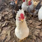 Profile Picture of Erika Boland (@erika.boland.2024) on Facebook