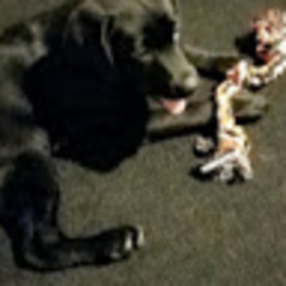 Profile Picture of Jake Pemble (@jakepemble) on Poshmark