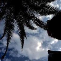 Profile Picture of Alexia Schmidt (@alexia-schmidt-5) on Quora