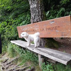 Profile Picture of michelrunser (@michelrunser) on Tiktok