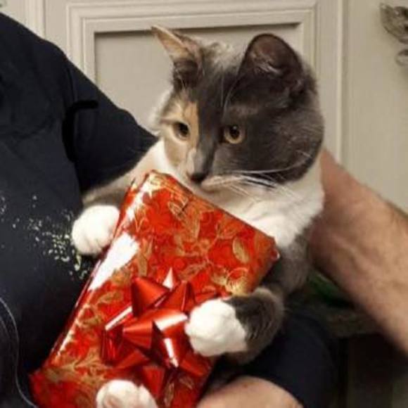 Profile Picture of Marleen Vicary (@saydeemar) on Poshmark