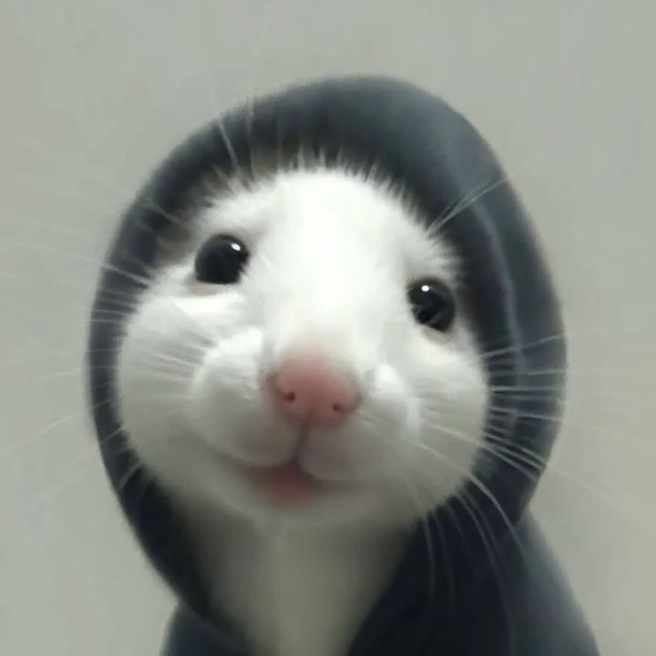 Profile Picture of joss_sustaita (@joss_sustaita) on Tiktok