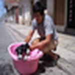 Profile Picture of QUILLACOLLO ANNA Y NILZER Y LUIS GENERAL CAMACHO (@QUILLACOLLO INTERNETCAFE EN GENERAL CAMACHO) on Flickr