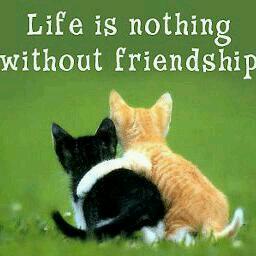 Profile Picture of Bala Chad (@BalaChad) on Twitter