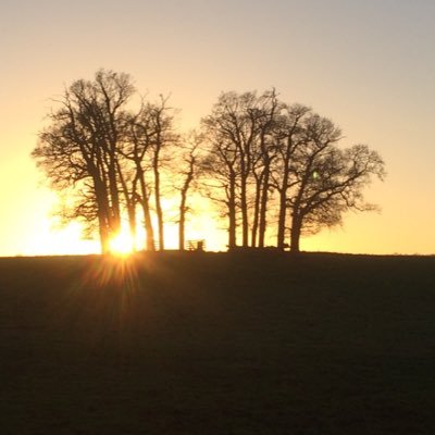 Profile Picture of Christopher Mansell (@cdmansell) on Twitter
