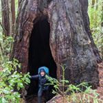 Profile Picture of Amanda Murdoch (@armurdoch) on Instagram