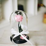 Profile Picture of Розы В Брянске (@rosa_v_kolbe32) on Instagram