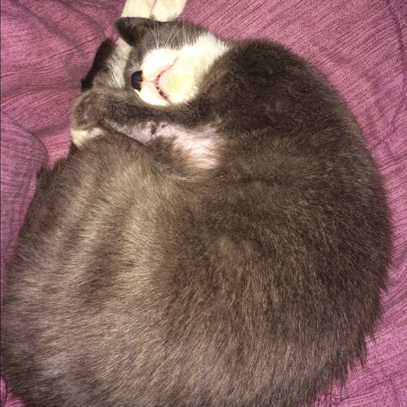 Profile Picture of Maryann Maciolek (@sunmeetsthemoon) on Poshmark