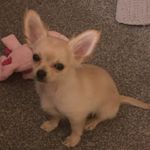 Profile Picture of Bentley Polley (@bentleypolley) on Instagram