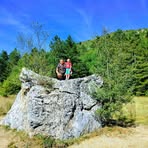 Profile Picture of Predrag Mladenovic (@predrag.mladenovic.104) on Facebook