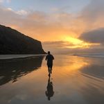 Profile Picture of Matt Daniels (@daniels_matt_) on Instagram