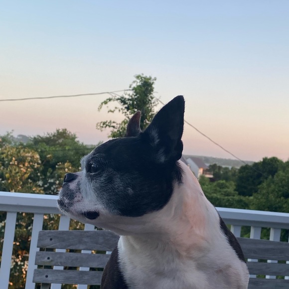 Profile Picture of Colin Mackinnon (@colinrmack) on Poshmark