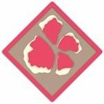 Profile Picture of Ann Conlin (@petalsofpgh) on Instagram