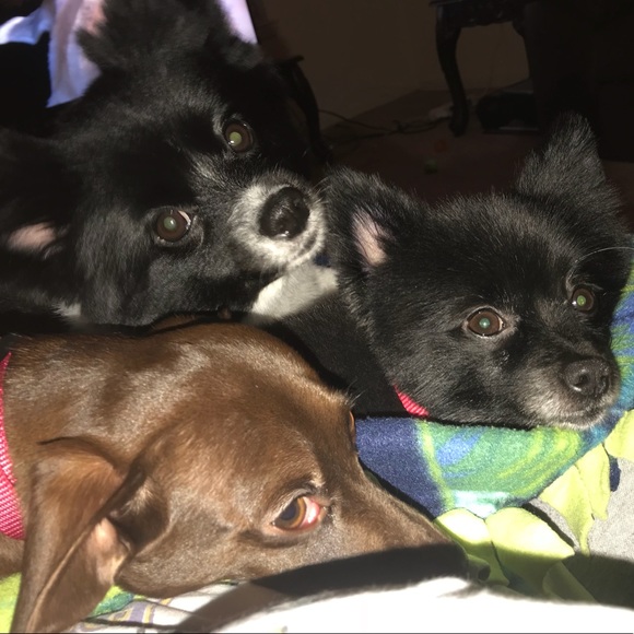 Profile Picture of Davlynn V (@boricua910) on Poshmark