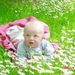 Profile Picture of Barbara Deckers (@bdeckers) on Pinterest