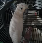 Allen Lineberg - Facebook Profile Picture of Allen Lineberg (@Allen-Lineberg) on Facebook