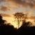 Profile Picture of Tove Hauge Kirkegaard (@haugekirkegaard) on Pinterest