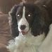 Profile Picture of Kyle Reiter (@kyle.reiter.3) on Facebook
