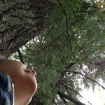 Janet Covington - Instagram Profile Picture of Janet Covington (@osellamo) on Instagram