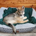 Profile Picture of Jamie Schepp (@jamie.schepp.7) on Facebook