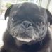Profile Picture of Charlie Collette (@Charlie-Collette) on Facebook