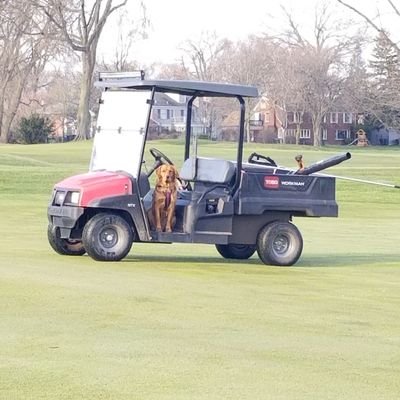 Profile Picture of LaFrance_Adam (@LaFranceAdam1) on Twitter