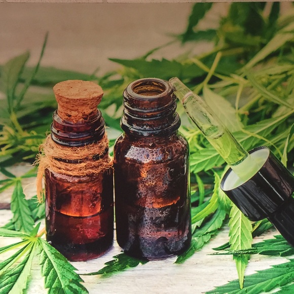 Profile Picture of Alicia Reaves (@lioness40) on Poshmark