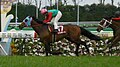 Yomiuri Milers Cup - Wikipedia Profile Picture of Yomiuri Milers Cupon Wikipedia