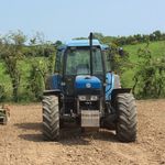 Profile Picture of Daniel Tumelty (@tumeltydaniel) on Instagram