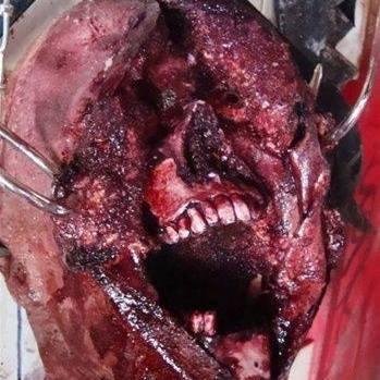 Profile Picture of Rodrigo Mancilla (@Sicknesskiller) on Twitter