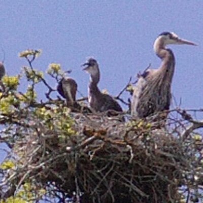 Profile Picture of Kim (@KimDarnell1968) on Twitter