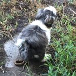 Profile Picture of Peter 