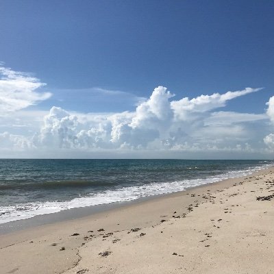 Profile Picture of Rusty Powers (@rustypowers) on Twitter