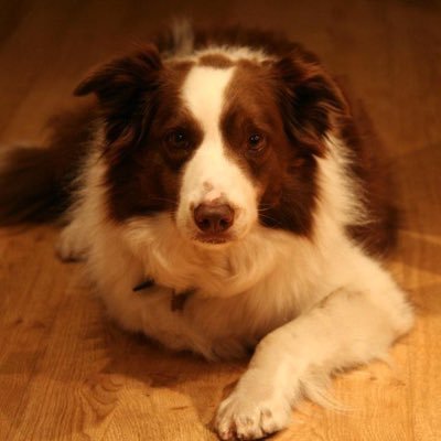 Profile Picture of Robert Clement-Evans (@RClementEvans) on Twitter