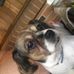 Profile Picture of David Wolfkill (@david.wolfkill.98) on Facebook