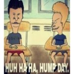 Profile Picture of Mark McCowan (@mark_mccowan) on Instagram