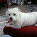 Profile Picture of Robert Lester (@robert.lester.9803150) on Facebook