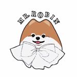 Profile Picture of 메이드바이로빈[로빈의품격] (@made_robin_1122) on Instagram