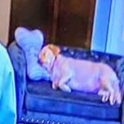 Profile Picture of Jerome Chong (@jwewome) on Twitter