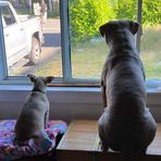 Profile Picture of Kelly McQuade (@kelly.mcquade.988) on Facebook