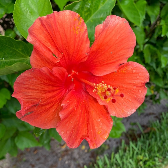 Profile Picture of Sam Sprinkles (@samsprinkles) on Poshmark