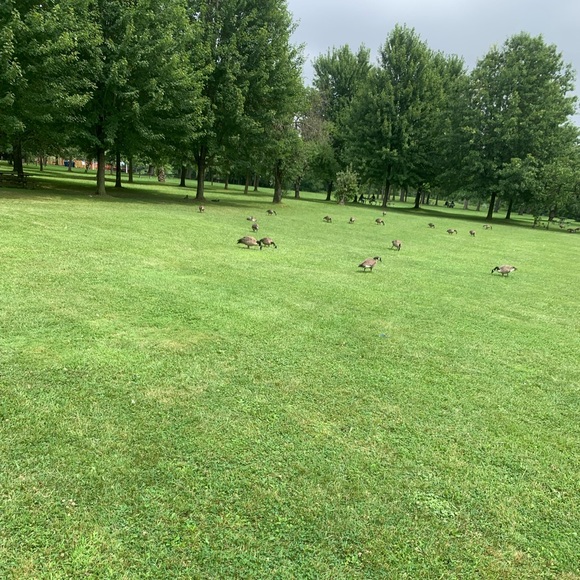 Profile Picture of Yong Zhang (@fengzhongxinshi) on Poshmark